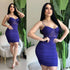 Purple Lycra Spandex Dress with Transparent Mesh Plunge Neckline